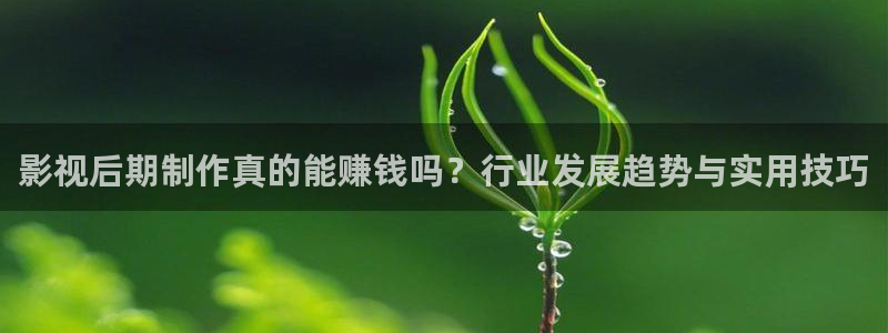 超碰在线av：影视后期制作真的能赚钱吗？行业发展趋势与实用技巧
