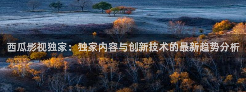 激情超碰：西瓜影视独家：独家内容与创新技术的最新趋势分析