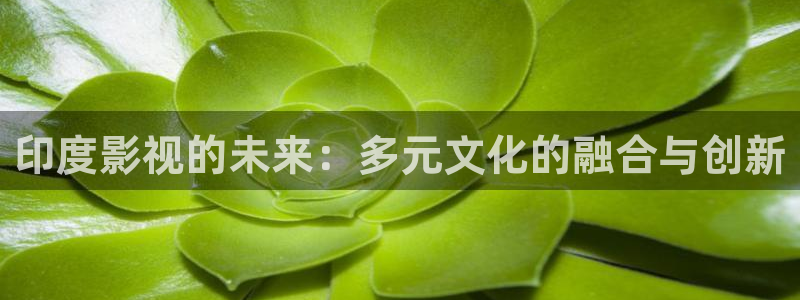 超碰人人人人超